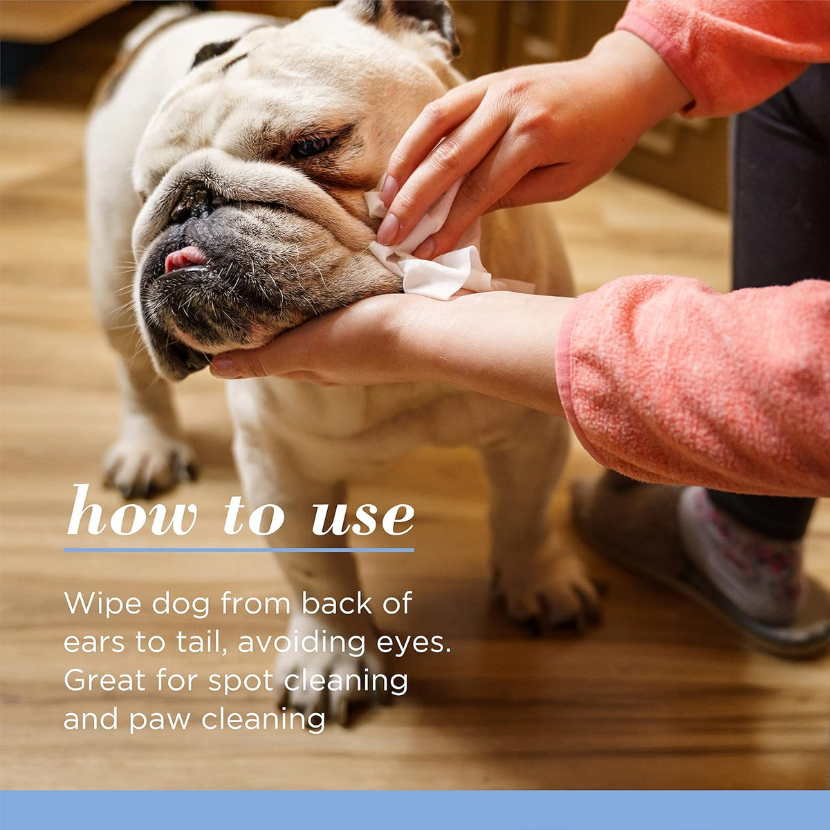 USA imported pet grooming wipes pH balanced for puppies close up