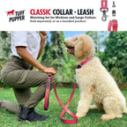 Tuff Pupper dog collar showing metal hardware and adjustment holes