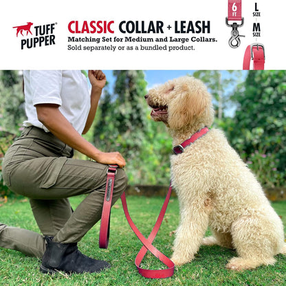 Tuff Pupper dog collar showing metal hardware and adjustment holes