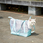 Small cat inside Vinqki mint green mesh sling carrier