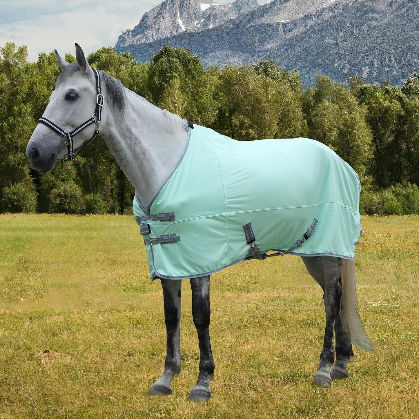 TARFEPA horse protection mesh sheet packaged view with size labeling
