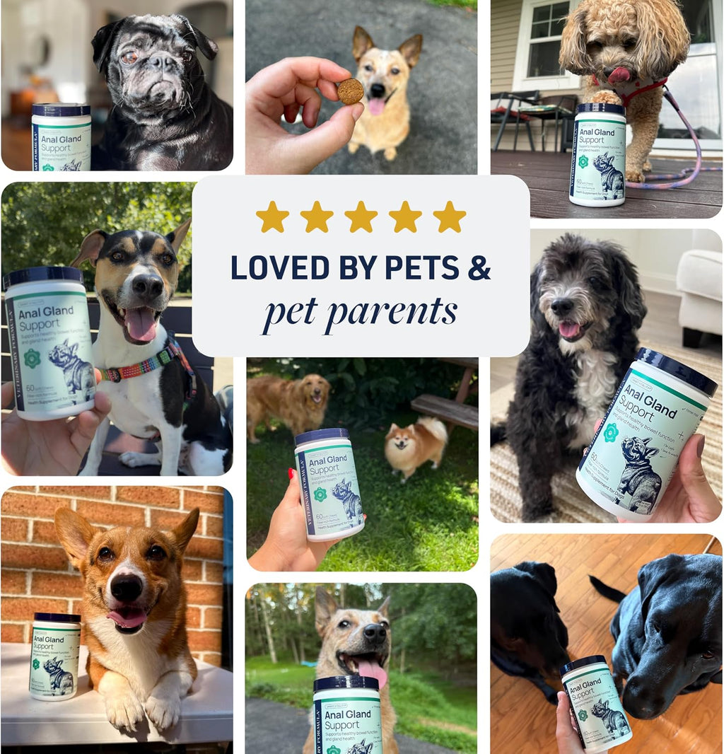 Veterinary Formula Anal Gland Support for Dogs - Vet-Formulated No Scoot Chews with Pumpkin, Ginger, Agave Inulin & Probiotics - Supports Scooting, Stool Quality & Digestive Health, 60 Soft Chews - Image 9