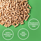 Close up of Feline Pine natural wood pellets