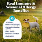 Premium dog seasonal allergy chews with salmon oil and colostrum