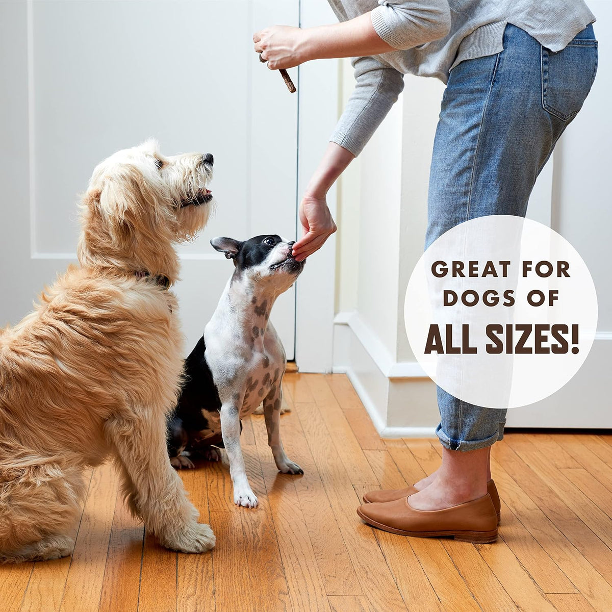 Grain free beef jerky snacks for senior dogs