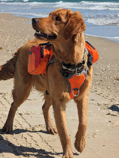 Bark Brite multi purpose dog backpack life jacket medium front view on an active dog
