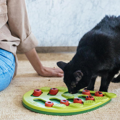 Authentic USA imported Catstages intermediate cat enrichment game