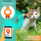 Cat wearing the southwestern print tracking harness during an outdoor travel walk