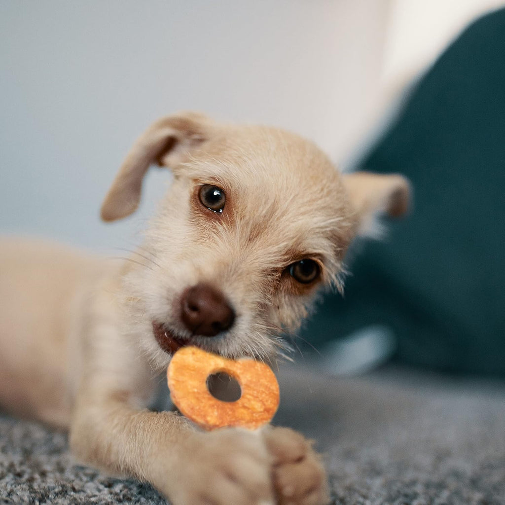 Healthy high protein dog treats by Fieldcrest Farms for dental and joint support.