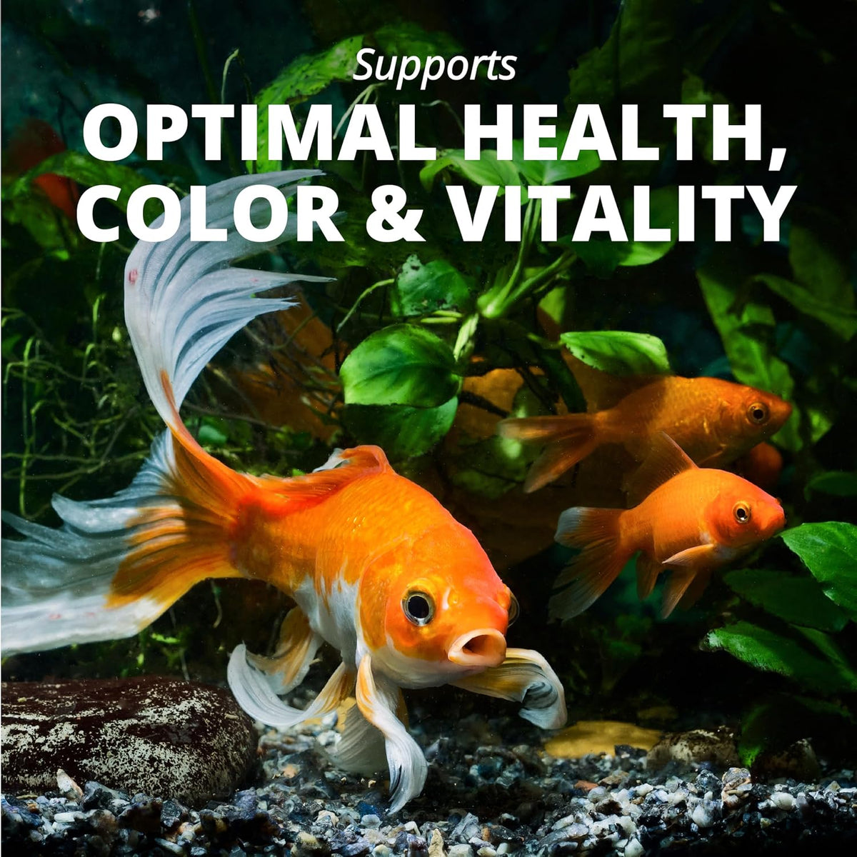 Tetra Goldfish Flakes, Nutritionally Balanced Diet For Aquarium Fish, Vitamin C Enriched Flakes, 7.06 oz - Image 11