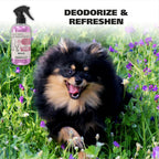 Wahl pet deodorant spray for dogs and cats 8 fluid ounces