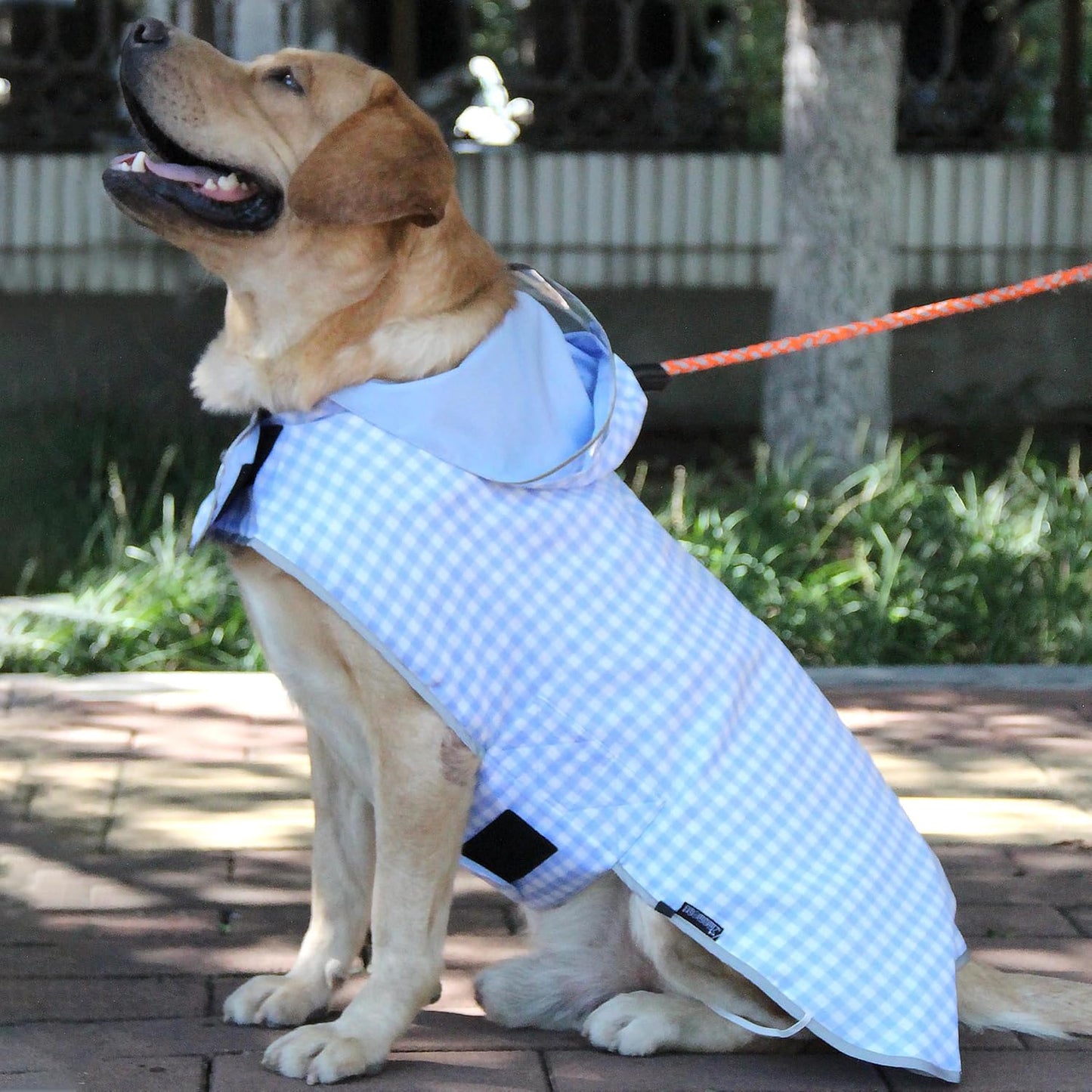 MAMORE reflective dog poncho showing the functional storage pockets on the back