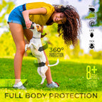 Two gray adjustable flea collars for dogs