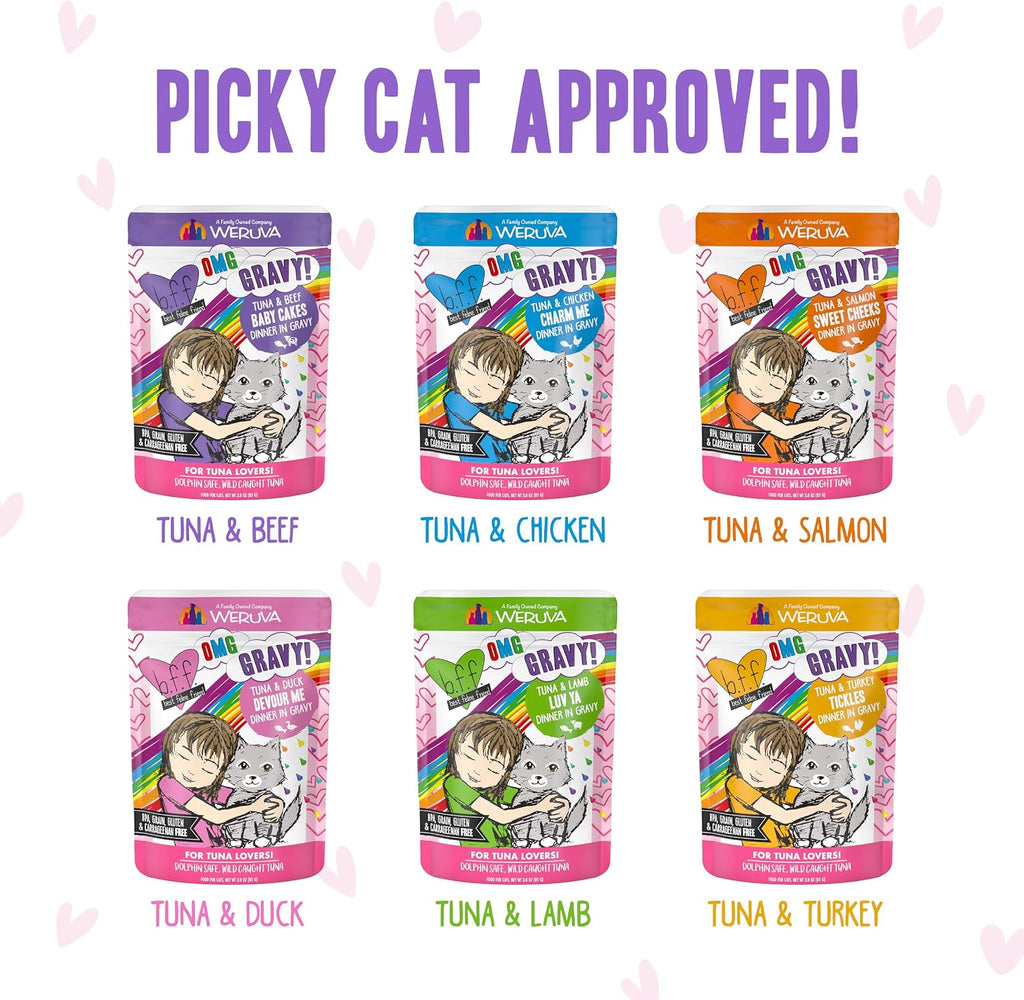 Collection of twelve individual three ounce cat food pouches