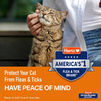 Fast acting ten minute flea killing spray for cats and kittens