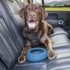 Blue portable silicone dog bowl angled view on a car seat