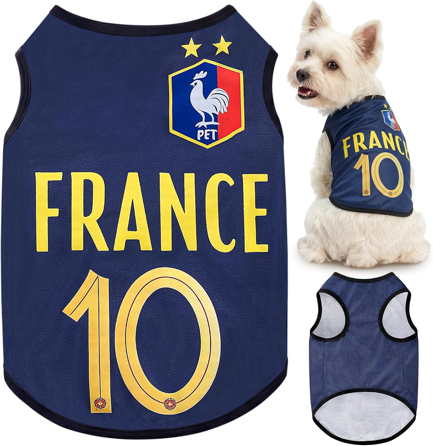 Size chart visual for Velzvumi small dog sportswear
