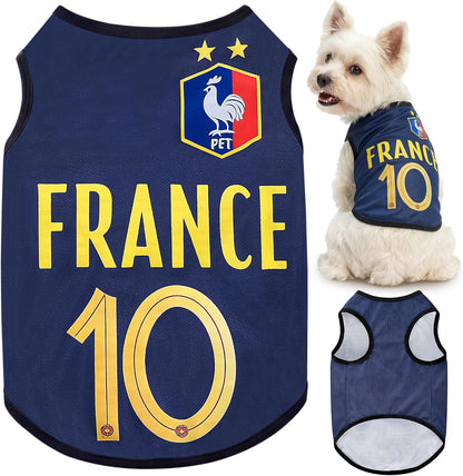Size chart visual for Velzvumi small dog sportswear