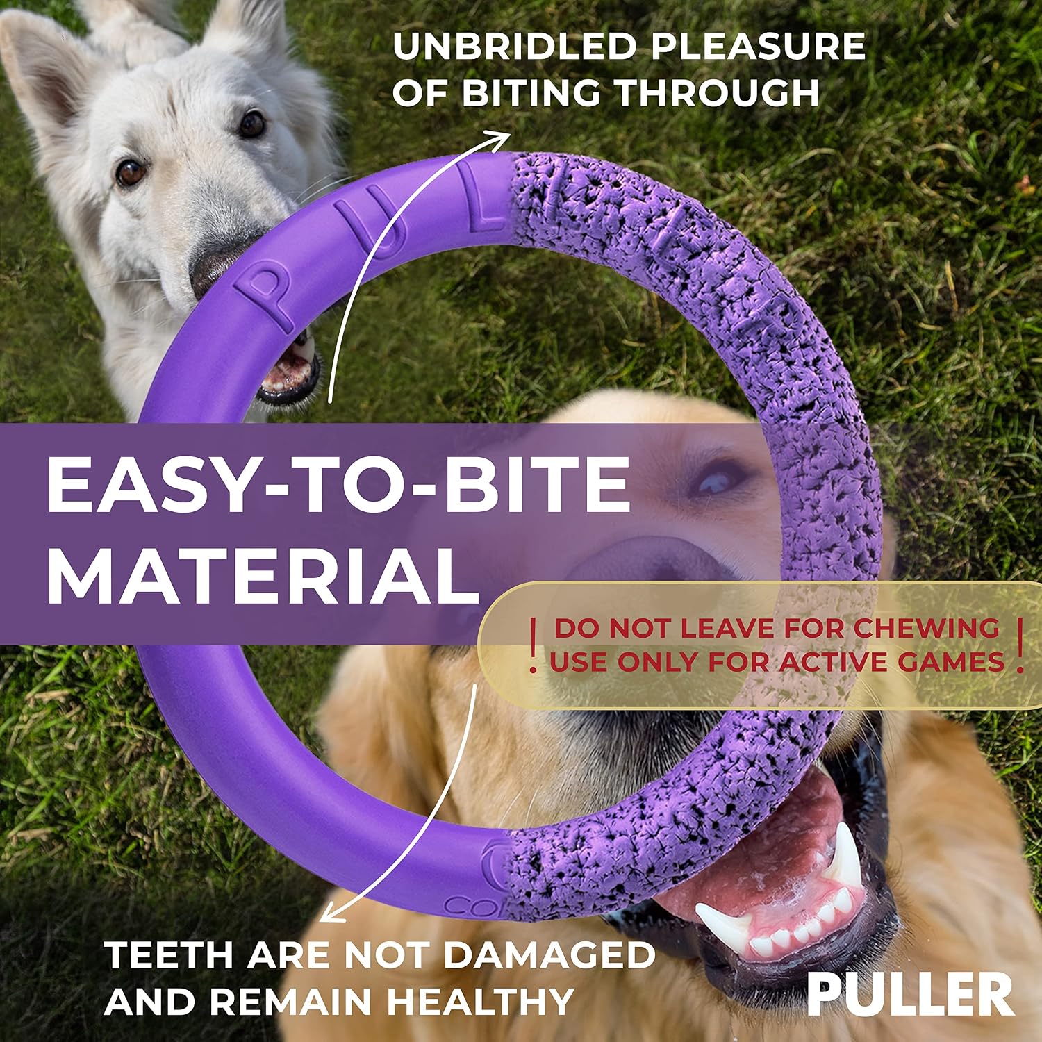 Floating ring toy for water games with dogs