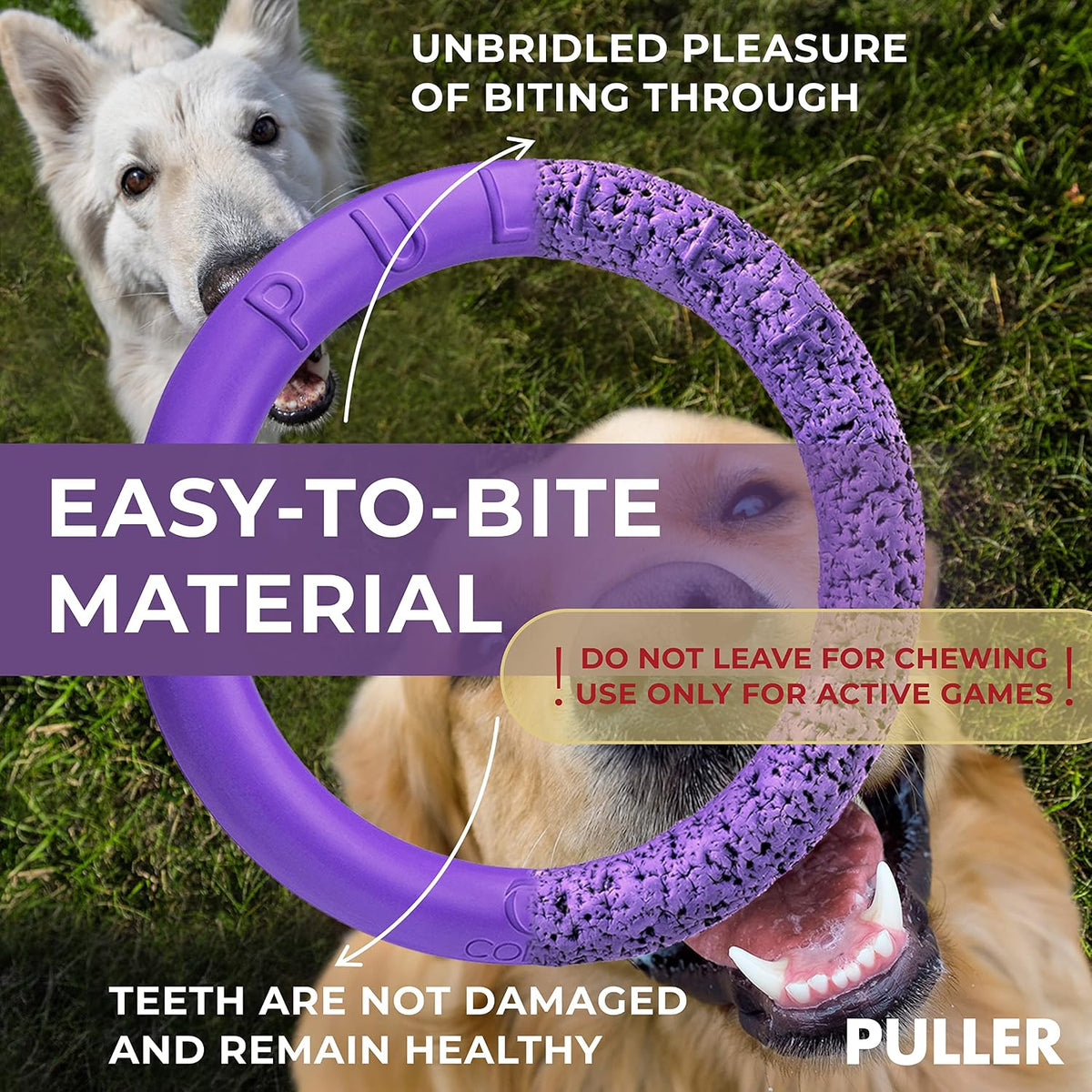 Floating ring toy for water games with dogs