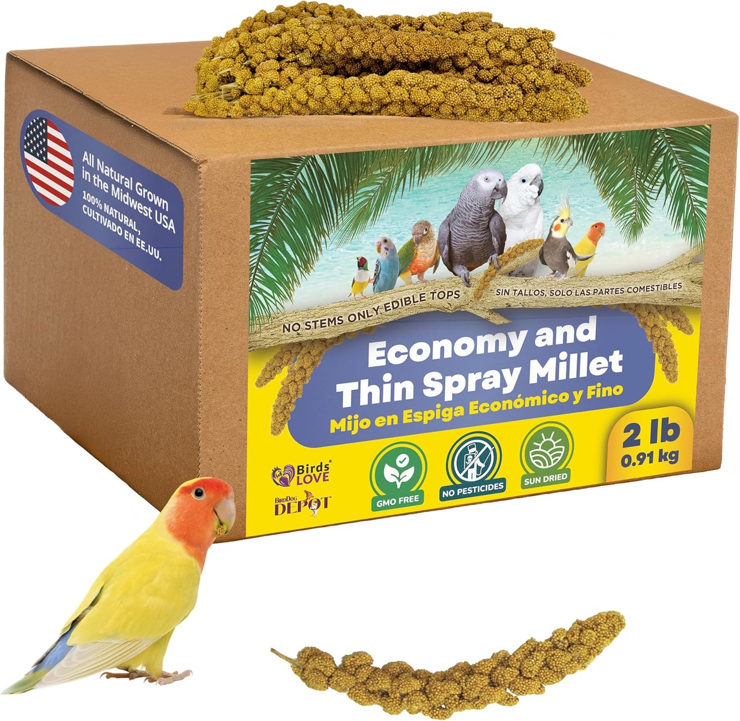 5lbs Economy & Special Spray Millet for Birds - GMO-Free, No Stems (Only Edible Tops) - 100% Natural Sun-Dried Foraging Treat for Cockatiels, Lovebirds, Parakeets, Finches & Canaries - Image 9