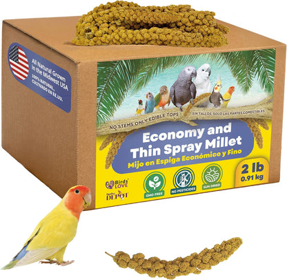 5lbs Economy & Special Spray Millet for Birds - GMO-Free, No Stems (Only Edible Tops) - 100% Natural Sun-Dried Foraging Treat for Cockatiels, Lovebirds, Parakeets, Finches & Canaries - Image 9