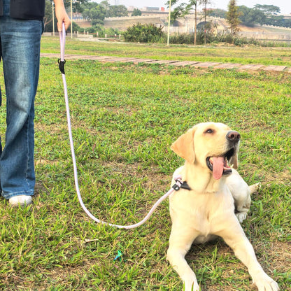 Morxil premium dog walking lead for medium and large dogs