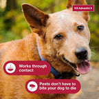 K9 Advantix II Large Dog Vet-Recommended Flea, Tick & Mosquito Treatment & Prevention | Dogs 21-55 lbs. | 2-Mo Supply (Packaging may vary) - Image 9