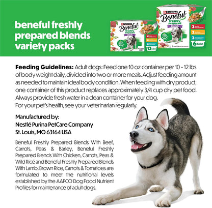 Purina Beneful premium variety pack dog food tubs display showing real meat and vegetable recipes