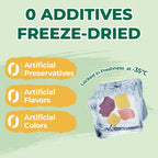 Top down perspective of colorful freeze dried pet bird snack blend