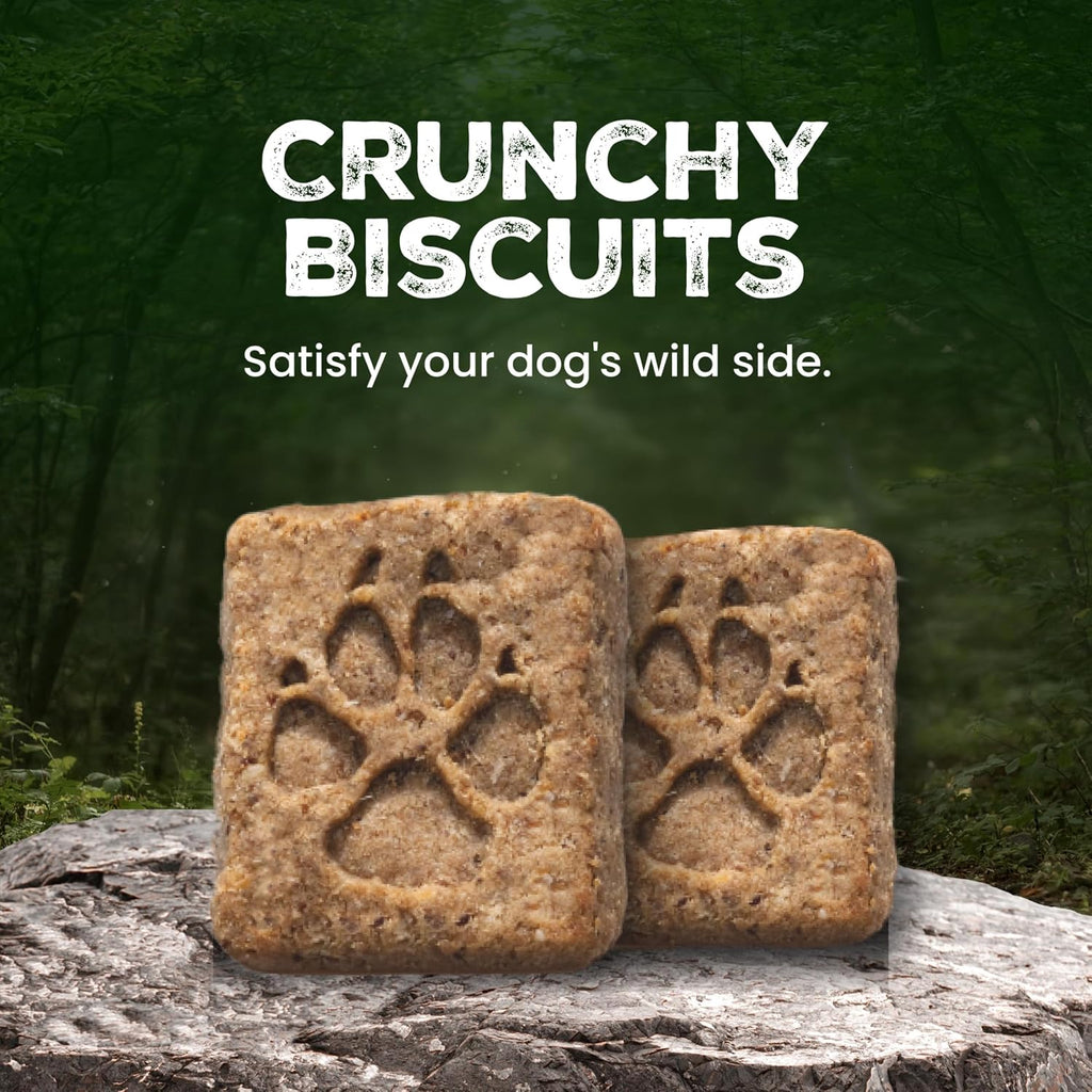 Blue Buffalo real salmon dog biscuits for skin and coat health premium pet snacks
