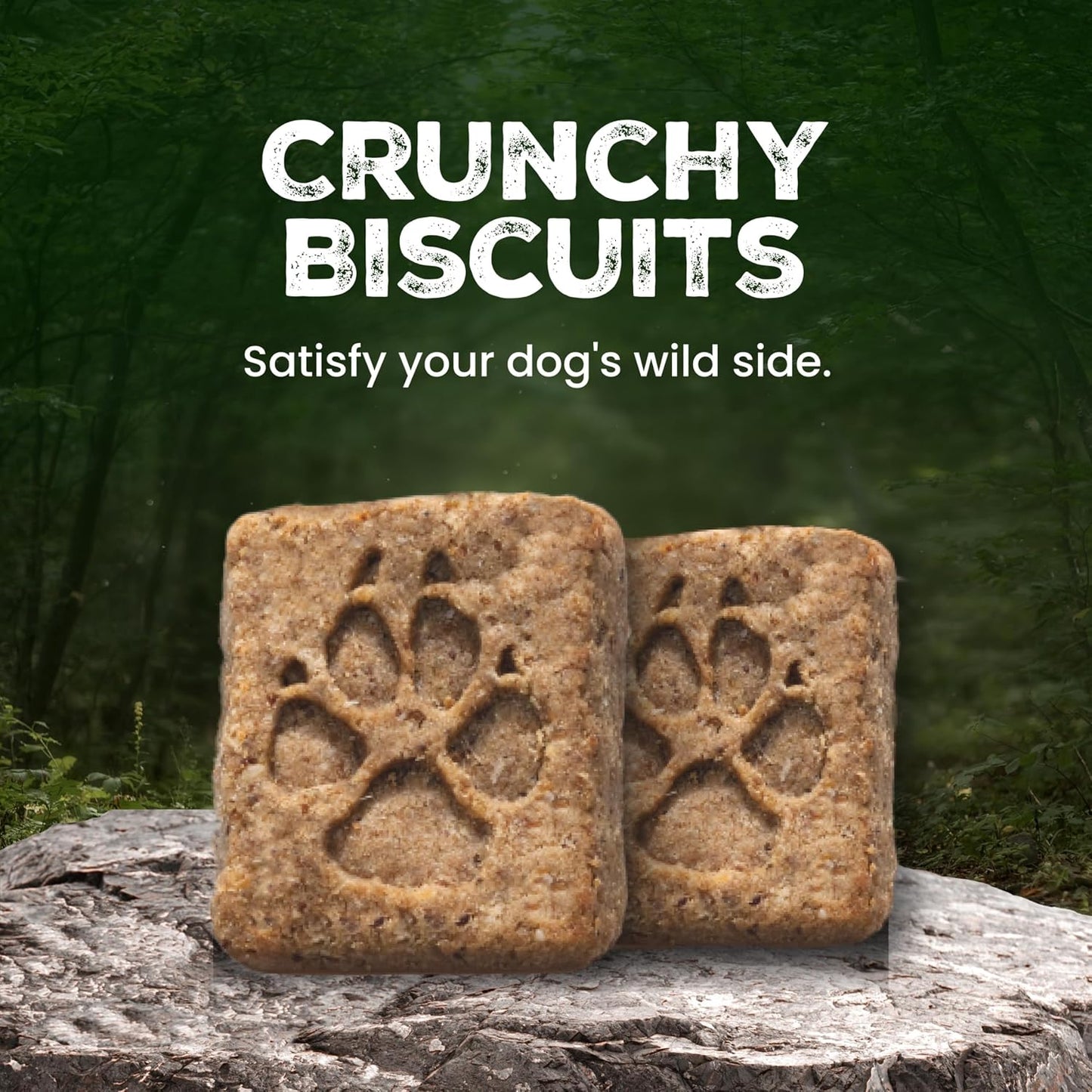 Blue Buffalo real salmon dog biscuits for skin and coat health premium pet snacks