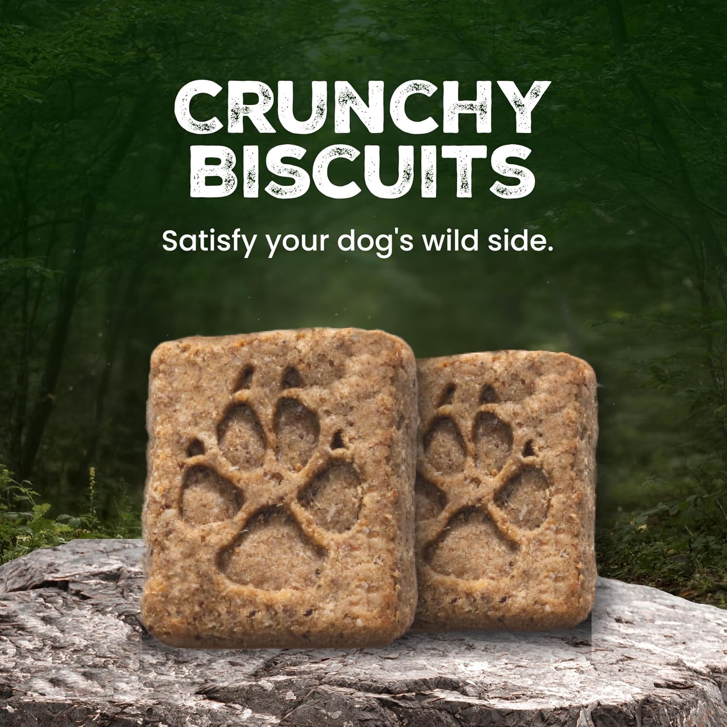 Blue Buffalo real salmon dog biscuits for skin and coat health premium pet snacks