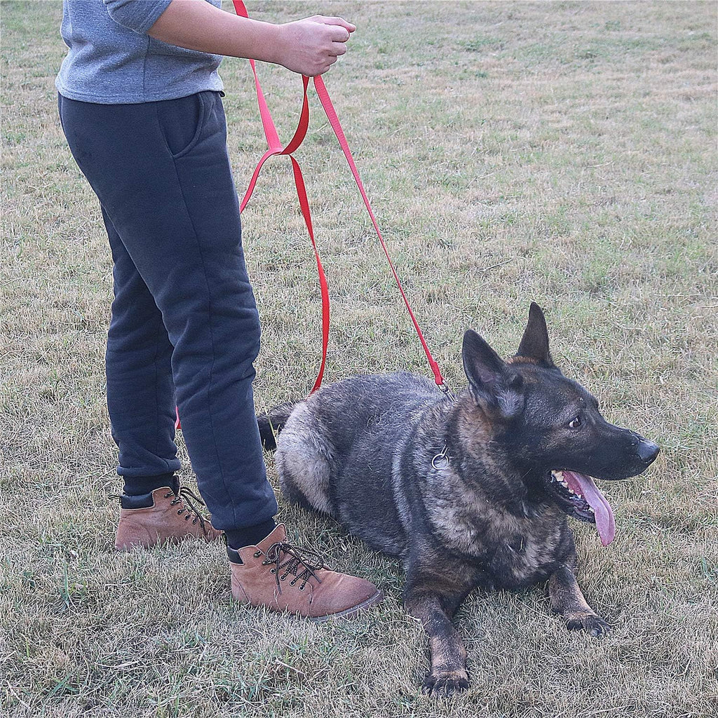 Dog/Puppy Obedience Recall Training Agility Lead - 15ft 20ft 30ft 40ft 50ft Training Leash - Great for Play, Camping, or Backyard (Pink, 20 Feet) - Image 9