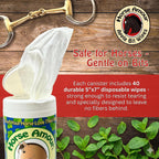 Equestrian using a mint flavored bit wipe on a metal horse bit