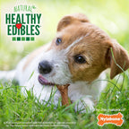 Close up of ham flavored natural bone broth dog chew