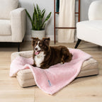 PetAmi small pet blanket shielding a living room couch from fur