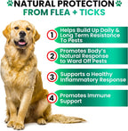 USA imported natural flea and tick chews ingredient label view.