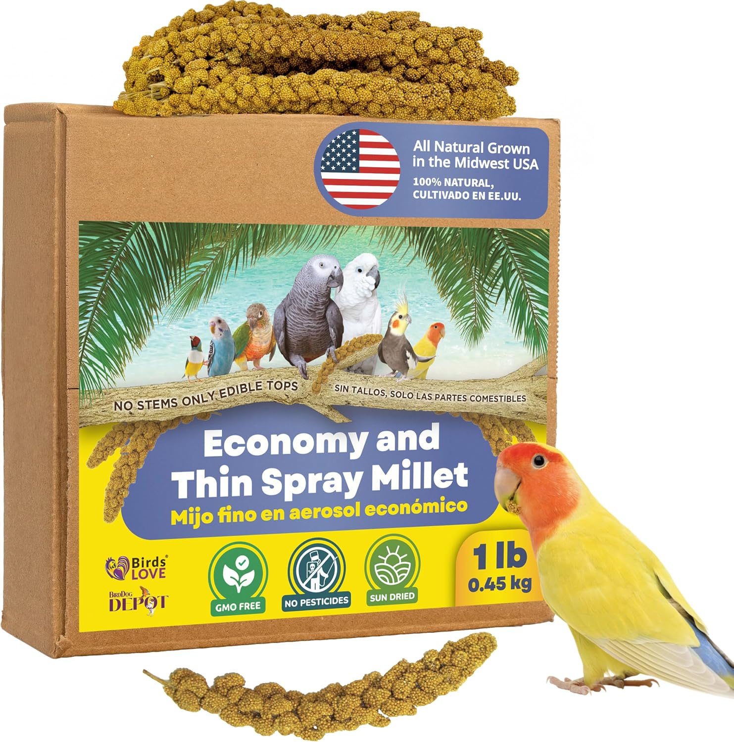 5lbs Economy & Special Spray Millet for Birds - GMO-Free, No Stems (Only Edible Tops) - 100% Natural Sun-Dried Foraging Treat for Cockatiels, Lovebirds, Parakeets, Finches & Canaries - Image 11