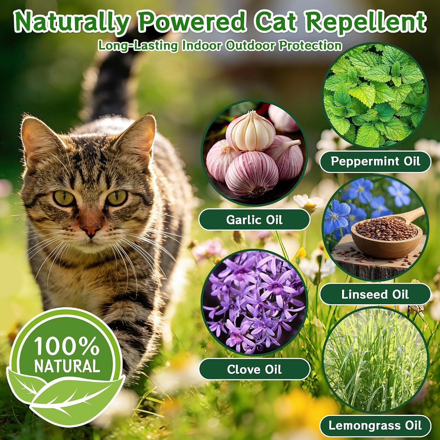 Indoor cat deterrent balls for furniture protection
