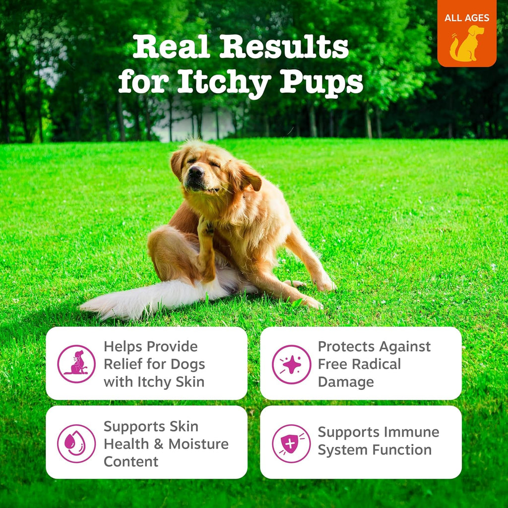 Premium chicken flavor dog anti itch chews with Omega three fish oil
