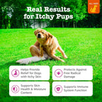 Premium chicken flavor dog anti itch chews with Omega three fish oil