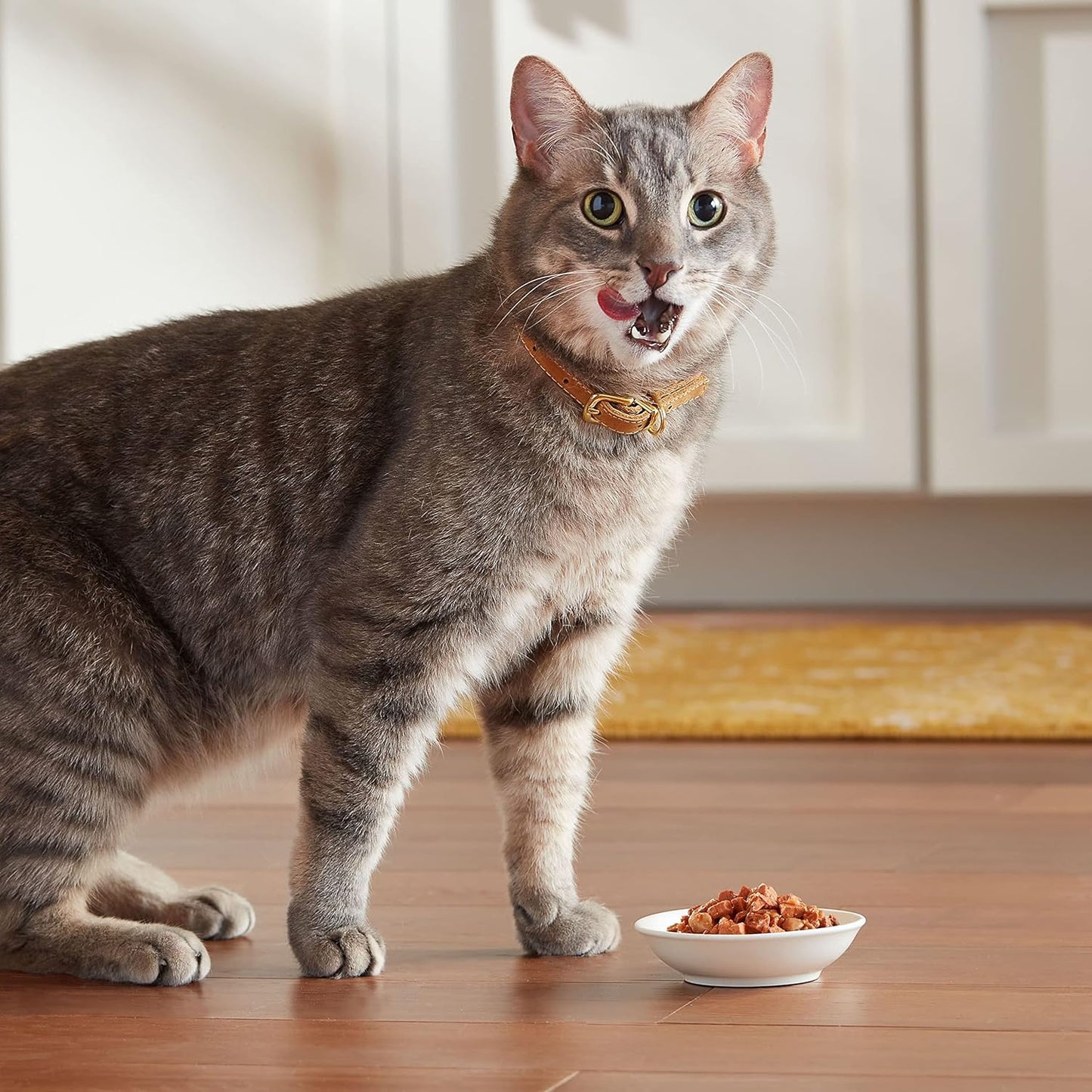 Meow Mix Savory Morsels Chunks In Gravy Cups