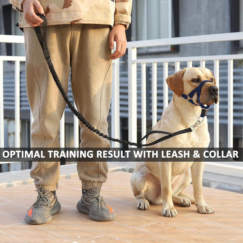 Barkless dog head collar showing safety link mechanism