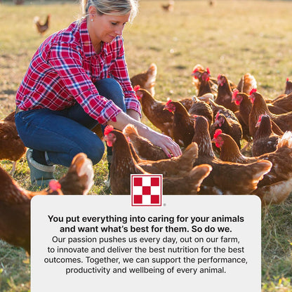 Purina | Start & Grow Medicated Chick Feed | Nutritionally Complete - 5 Pound (5 lb) Bag - Image 9