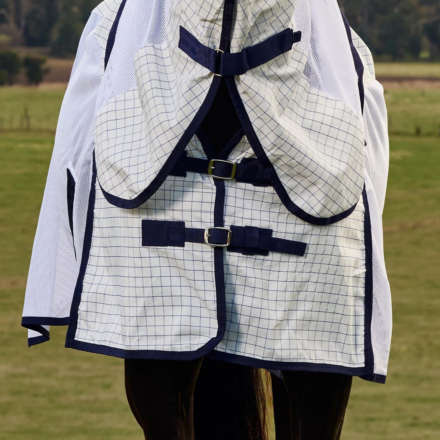 WeatherBeeta Airstream horse blanket showing the twin low cross surcingles and adjustable leg straps