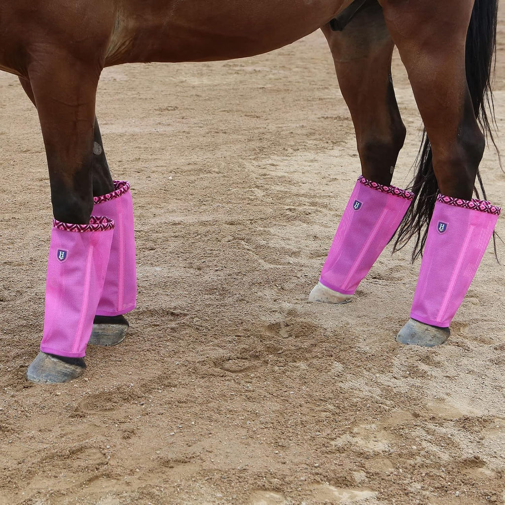 CareMaster loose fitting horse fly leggings set of four displayed flat.