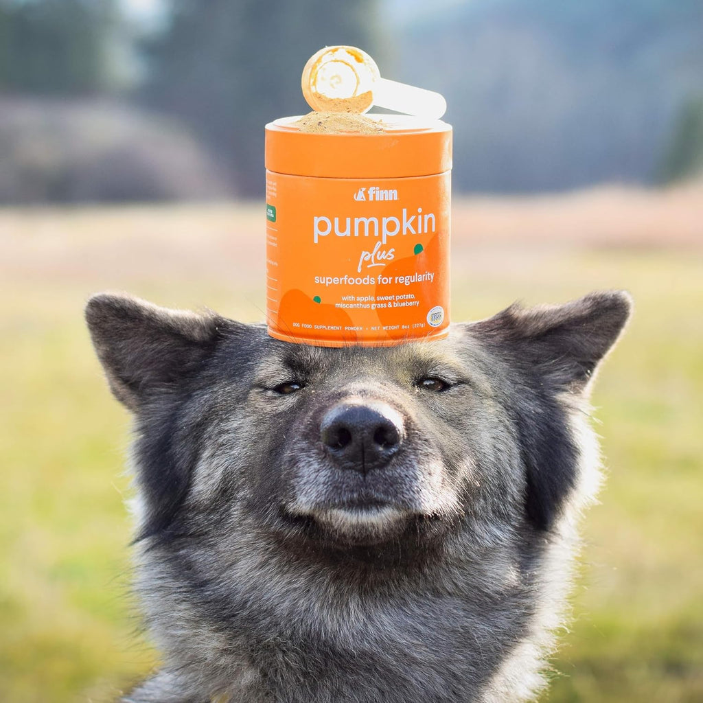 Healthy dog digestive supplement powder from USA for pets