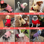 Plaid pleated skirt style pet outfit for cold weather walks