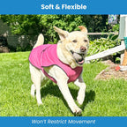 Dog cooling vest providing sun protection outdoors